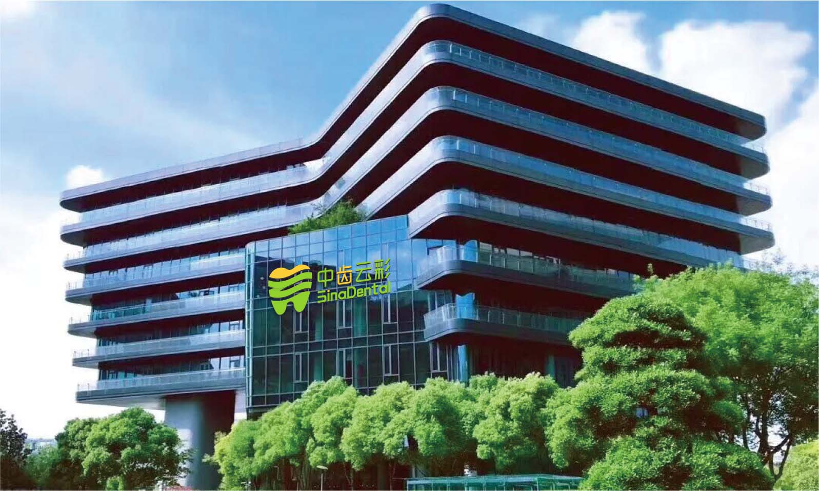 三大分公司落地运营
